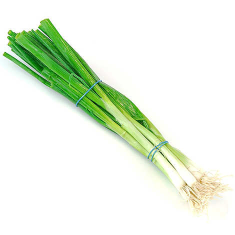Oignons cébette